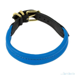 Amibelle nahast kaelarihm, sinine
