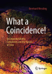 What a Coincidence!: On Unpredictability, Complexity and the Nature of Time 1st ed. 2023