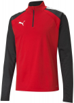 Meeste dressipluus Puma TeamLiga 1/4 Zip Top Red Black 657236 01 657236 01/XL