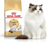 Royal Canin t&otilde;ukassidele Adult, 2 kg