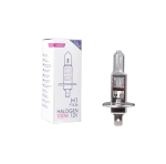 Halogeenpirn P14.5s H1 12V/100W, M-TECH Z88, 10 tk.