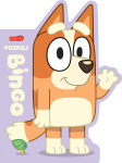 Cardboard Book Meet Bingo
