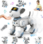 Raadiolainetega juhitav robotkoer, RC remote control robot dog