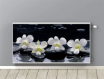 Dekoratiivne magnetradiaatorit kattekile "zen lilled" 60x100 cm