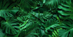 Dekoratiivsed magnetradiaatorikardinad "monstera" 60x100cm