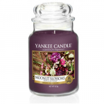 L&otilde;hnak&uuml;&uuml;nal Yankee Candle Moonlit Blossoms, 623 g