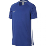 Nike B Dry Academy SS Junior AO0739-480 spordis&auml;rk meestele, sinine