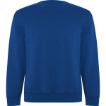 Meeste Dressipluus Batian sinine XXXL