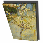 Reproduktsioon Small pear tree in blossom