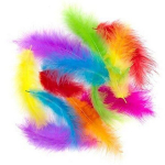 Kalkuni suled, 10-15 cm, 30 tk.