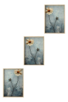 Kolmeosaline Reproduktsioon Huhu474