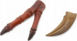 Tyrannosaurus k&uuml;&uuml;nte ja &uuml;lemiste j&auml;semete replica - Collecta