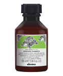 Juuste pikaealisuse kompleksiga &scaron;ampoon Davines Renewing 100 ml