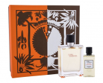 Komplekt Terre D'Hermes by Hermes meestele: Terre D'Hermes EDT 100ml + Terre D'Hermes du&scaron;igeel 80ml