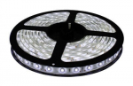 LED Riba Komplekt, k&uuml;lm valge 60LED/m, IP65, 3m, CW