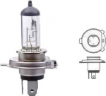 Autopirn H4