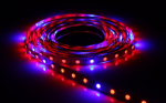 LED riba 12V 5050 300LED, 5m, IP20, Plant 4R:1B (4x punane + 1x sinine)