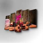 Viieosaline reproduktsioon SPA