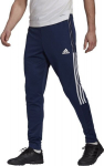 Meeste spordip&uuml;ksid Adidas Tiro 21 GE5425, tumesinine