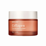 BERGAMO Collagen Essencial Intensive Cream, 50g - pinguldav n&auml;okreem.