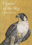 Queen of the Sky 2nd New edition