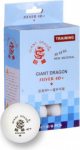 Smj Sport Ping pong ball SMJ Silver Star 6 pcs 8331