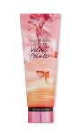 Victoria's Secret Velvet Petals Golden kehakreem, 236 ml