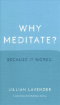 Why Meditate? Because it Works: Because it Works