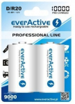 everActive D "Ready to Use" patareid