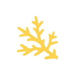 Dekoratiivne augustaja, M&auml;nnioks, 37 mm