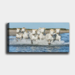 Reproduktsioon Valged hobused