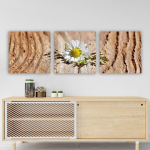 Kolmeosaline reproduktsioon Kummel