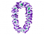 Hawaii kaelaehe purple-white (DJ-NHFB) 3293