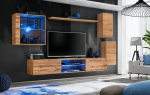 Sektsioon ASM Switch XXIII, pruun
