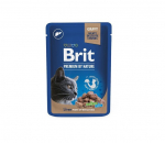 Brit Premium Liver m&auml;rgtoit steriliseeritud kassidele 100g