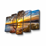 Viieosaline reproduktsioon P&auml;ikeseloojang