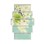 Viieosaline reproduktsioon S&otilde;rmused