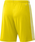 Meeste l&uuml;hikesed p&uuml;ksid adidas Squadra 21 GN5772, kollane, L