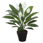 Kunsttaim SPATHE, H60cm, valge t&otilde;lvlehik, must pott