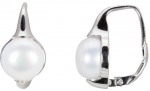 Terasest K&otilde;rvar&otilde;ngad naistele JwL Luxury Pearls JL0460 sJL0460