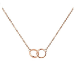 Naiste kaelakee Daniel Wellington DW00400166