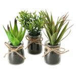 Komplekt 3 Eloise potitaime
