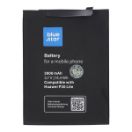 BlueStar 8013396