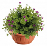 Plastist &uuml;mmargune kauss potti 26 cm terrakota potti Verona