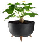 Lillepott Lillepott 33cm kate + jalad korgist lillepott must