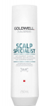 Goldwell DS SS SS k&otilde;&otilde;mavastane &scaron;ampoon 250ml