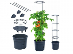 Pott tomatite kasvatamiseks &Oslash; 35