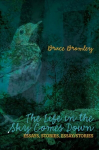 Life in the Sky Comes Down: Essays, Stories, Essay/Story