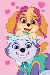 Jerry Fabrics laste pleed Paw Patrol PP518, 100x150 cm