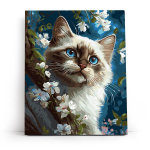 Numbrite j&auml;rgi maalimine raamil Varvikas - MG2476e Kasside harmoonia 40x50 cm